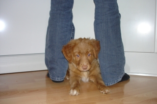kira080119a.JPG