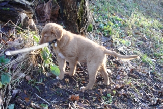 kira080127a.jpg